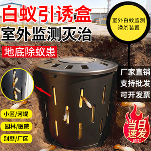 地下白蚁引诱盒桩监测装置厂区户外专用园区预防治室外杀白蚁粉剂