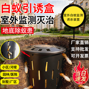 地下白蚁引诱盒小区别墅户外专用建筑室外预防灭杀白蚁桩监测装置