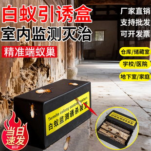 专用古庙地上预防治驱除灭白蚁后诱杀箱室内白蚁引诱盒桩监测装置