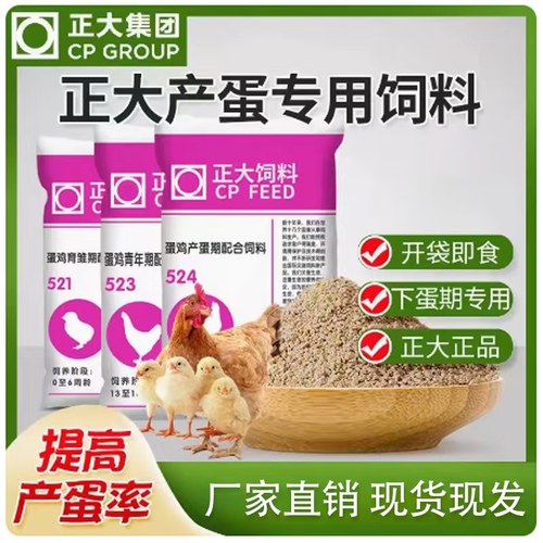 中蛋小鸡专用饲料开口料鸡