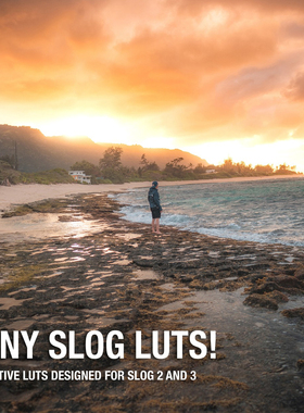 油管henbu索尼slog2/3创意Genesis达芬奇LUTS视频调色PR/FCPX滤镜