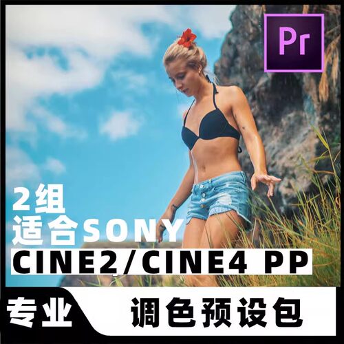CMG夏天SUMMER电影CINE2/4调色包LUT视频色彩PP佳能索尼GoPro/PR