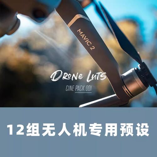 专业DJI大疆无人机Dlog视频MAVIC2预设FCPX/AE/PR/达芬奇调色LUTS