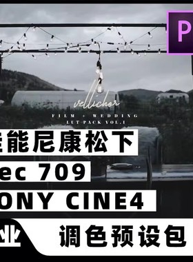 索尼CINE4佳能尼康相机Rec709电影婚礼LUT调色滤镜合辑PR/FCPX/AE