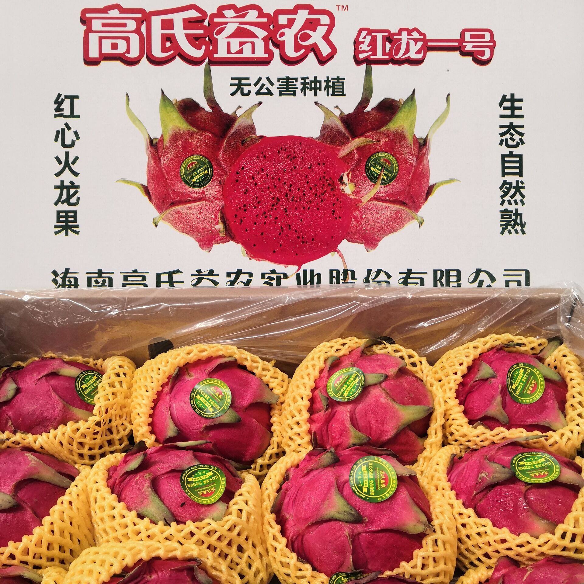 现货海南高氏益农蜜宝红心火龙果新鲜净重10斤 超甜皮薄包邮