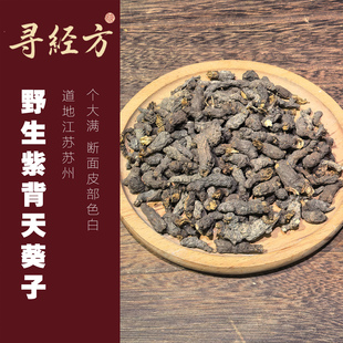 寻经方 野生新货紫背天葵子 中药材 千年老鼠屎 天葵根 金耗子屎