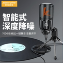 直播录音专用降噪主播游戏电容usb笔记本桌面话筒 麦克风电脑台式