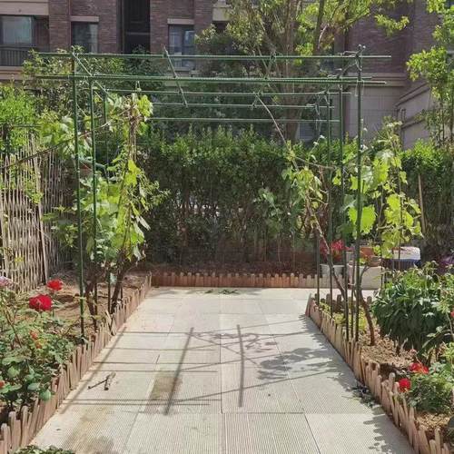 爬藤架架黄瓜架子阳台植物花卉支撑杆番茄豆角葡萄架花架园艺支架