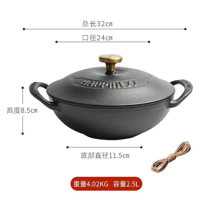 炖锅款21cm宫廷煲铸铁煲汤锅搪瓷锅煲仔饭锅多功能家用无涂层出口