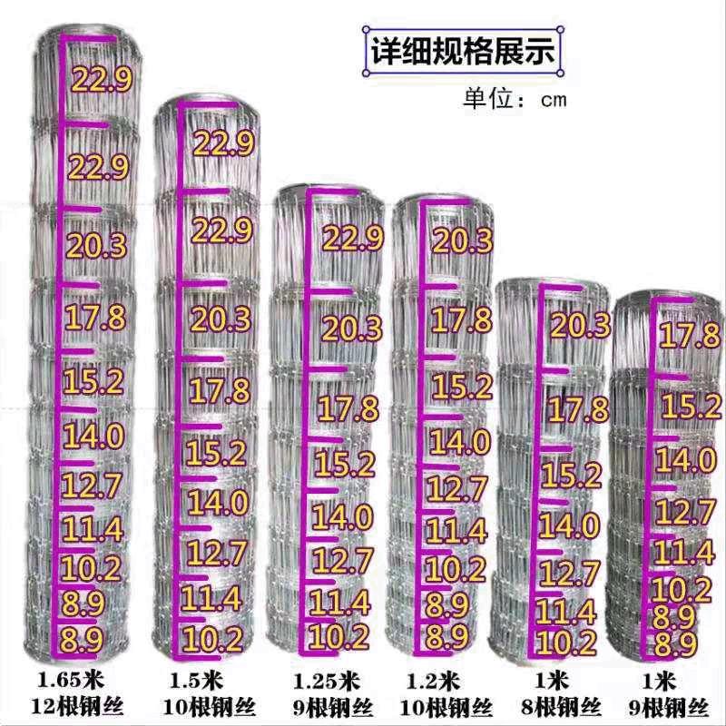 围栏网果园圈地钢丝牛栏网养殖牛羊鸡防护网镀锌铁丝网围栏护栏网