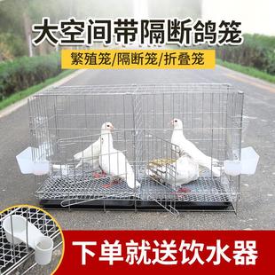 笼子鸽子笼养殖笼家用带隔断配对繁殖笼大号鸽舍鸽子用具清 斑鸠