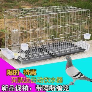 鴿子籠家用配對籠繁殖巢箱大型大號特大信鴿白鴿籠專用鐵絲網折疊