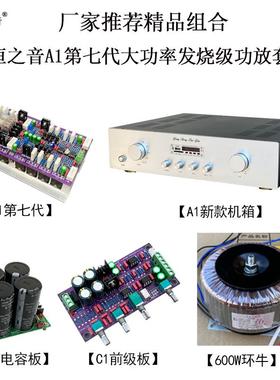 永恒之音A1功放DIY套件含功放板变压器电容板前级调音板蓝牙板