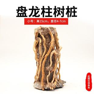 鱼缸造景骨架成品树森林龙柱树桩手工草缸盘莫斯树装饰造景木沉木