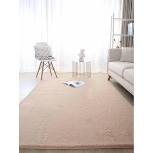 t9j5批发ins风少女仿兔毛地毯客厅茶几毯长绒加厚卧室满铺床边榻