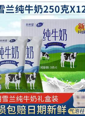 新货云南昆明雪兰纯牛奶袋装学生早餐奶250g*12袋日期新破损包赔