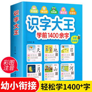 7岁宝宝学汉字书 识字大王注拼音版 儿童学前看图识字书3 一年级学前班幼小衔接幼升小教材语文学习早教卡3 6岁幼儿园1400字