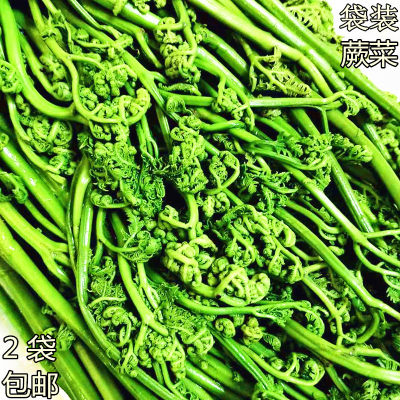 东北特产顺石蕨菜 新鲜山野菜袋装保鲜蕨菜 2袋包邮每袋带水1千克