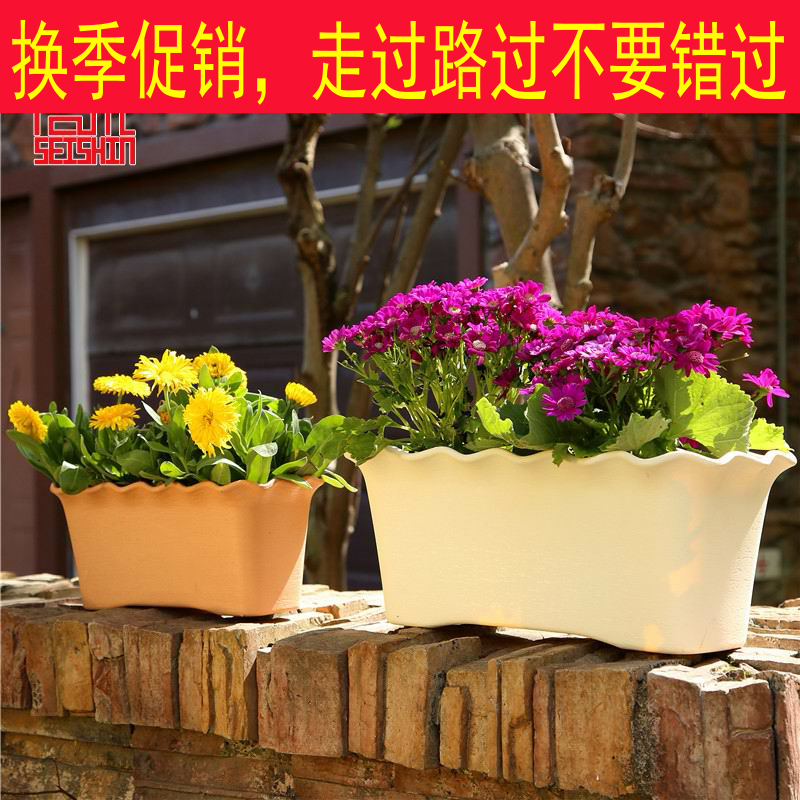 长方形多肉菜葱蒜韭菜郁金香