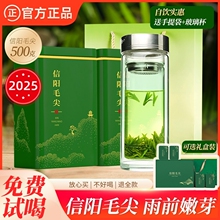 2025新茶信阳毛尖绿茶雨前春茶嫩芽茶叶耐泡栗香新年礼盒500克