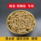 乌龟虻钓鱼黑水钓鱼幼虫活体营养鸟饲料虫子蚯蚓通杀幼虫鱼饵