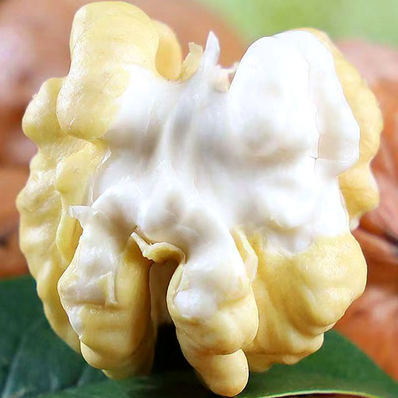 现摘新鲜青皮核桃湿核桃绿皮核桃孕妇带青皮核桃香甜生核桃包邮