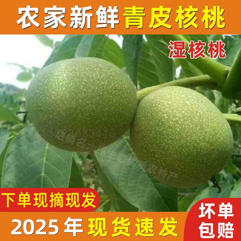 2025年新鲜青皮核桃嫩湿绿皮核桃孕妇生核桃带青皮现摘现发包邮