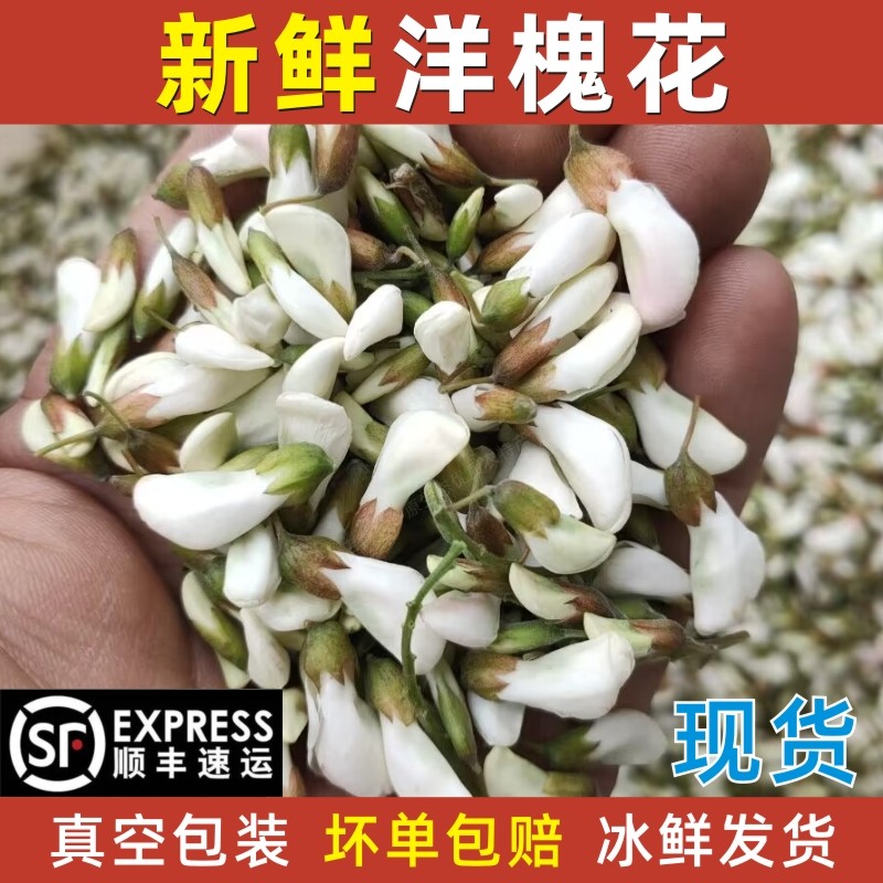 2025年新鲜槐花天然野生蔬菜洋槐花骨朵真空冷冻杨槐花野菜包邮