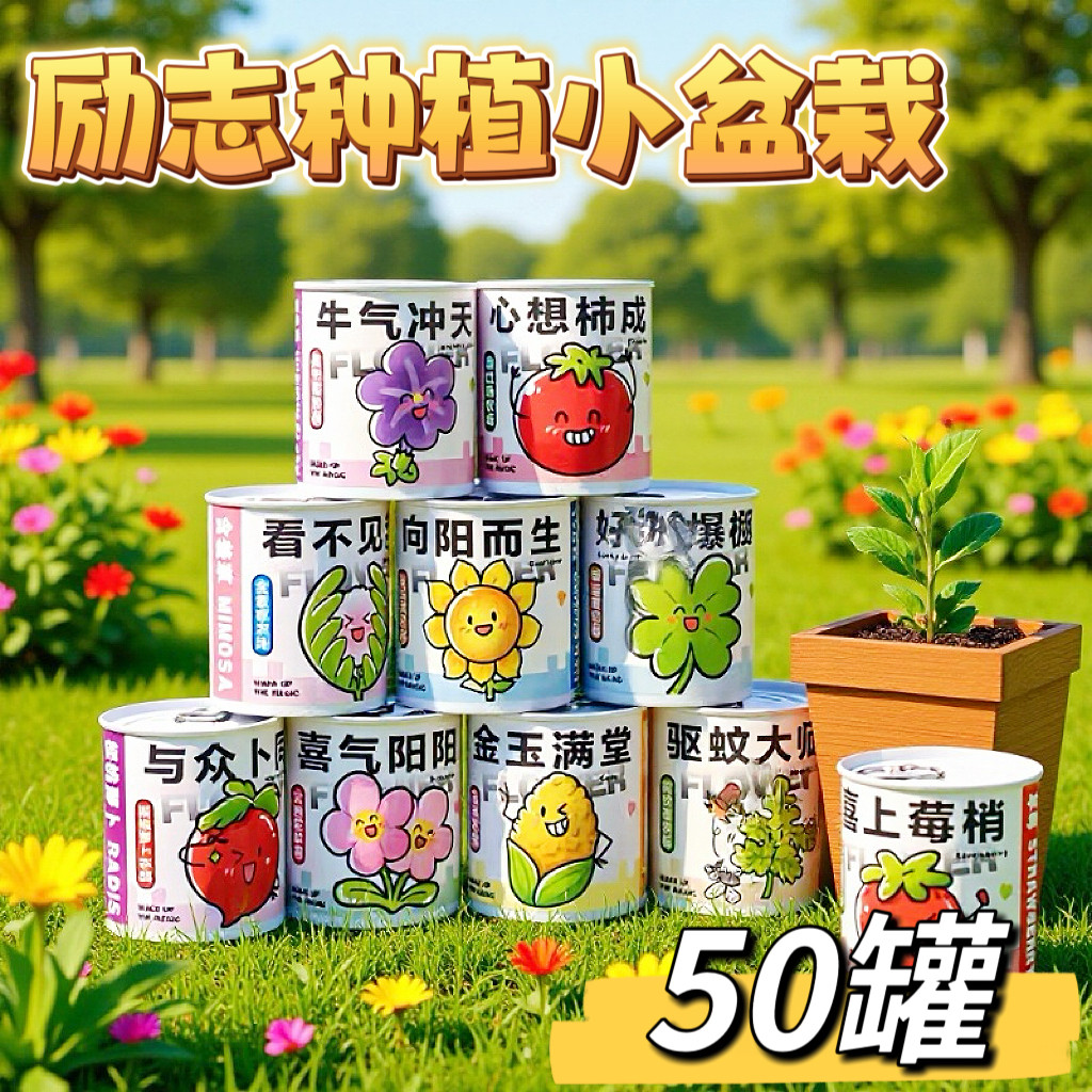罐装种植盲盒盆栽绿植种子实用