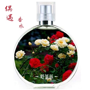 偶遇野蔷薇香水 女士私家 清新花香调 傲冷气息 持久自然淡香包邮