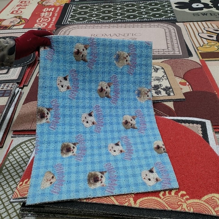 丝圈地垫40*60特价,居家布艺,入户地垫,淘宝优惠券,粉丝福利购,淘宝优惠卷