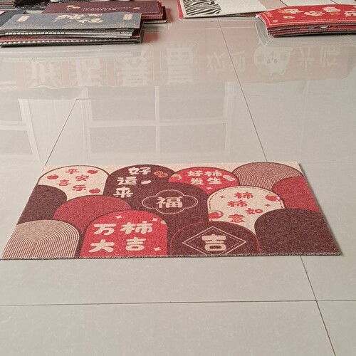 新丝圈地垫80*120厘米