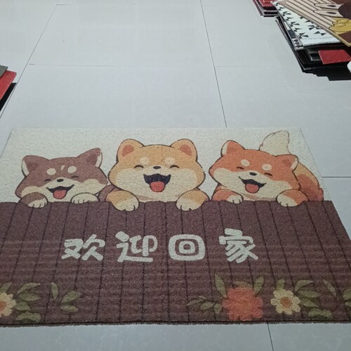 库存丝圈地垫80*100厘米