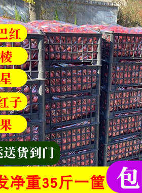 尚财新鲜山楂批发净重35斤糖葫芦