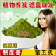 憨厚哥海纳五代纯植物正品 天然染发粉养发粉花粉染发剂遮盖白发
