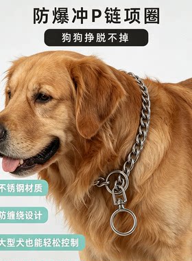 防爆冲304不锈钢P链双圈狗链金属项圈脖训狗链旋转防缠绕训练脖套