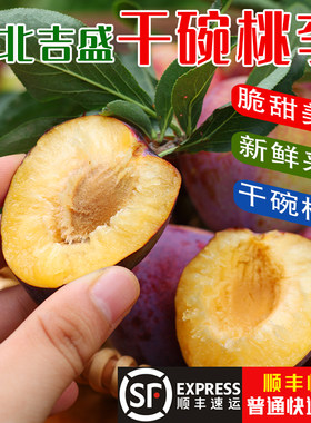 东北吉盛桃李离核干碗
