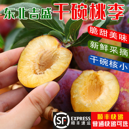 东北吉盛桃李离核干碗