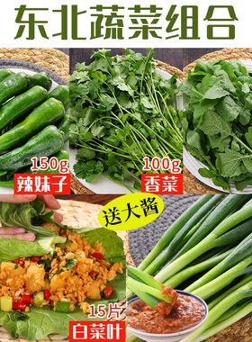 东北白菜叶香菜臭菜小葱辣妹子