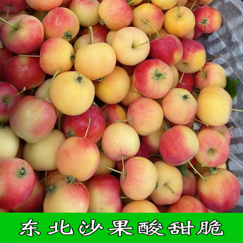 东北沙果新鲜水果果园现摘发货