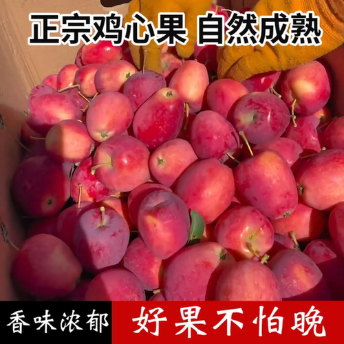 正宗东北鸡心果果味浓郁酸甜爽口