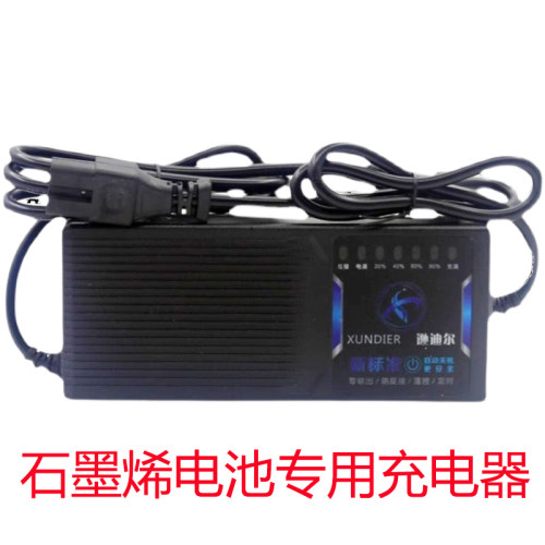 雅迪爱玛台铃石墨烯电池充电器