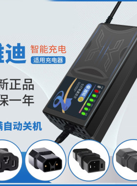 适用雅迪电动车原装充电器电瓶车48V12A60V20A72三轮快充通用