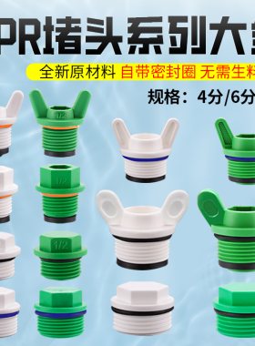 PPR4分6分1寸内丝堵头加厚带皮圈水管堵帽水管堵塞试压闷头管配件