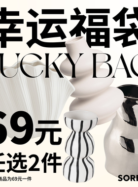 SOREMO 花瓶福袋 瑕疵捡漏 活动期间下架