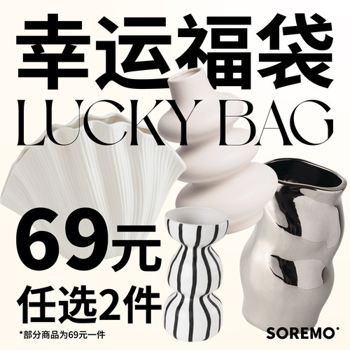 SOREMO花瓶福袋瑕疵捡漏