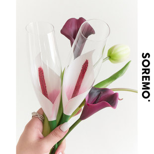 SOREMO 马蹄莲香槟杯专利酒杯高脚杯结婚新婚礼物新婚礼品生日ins