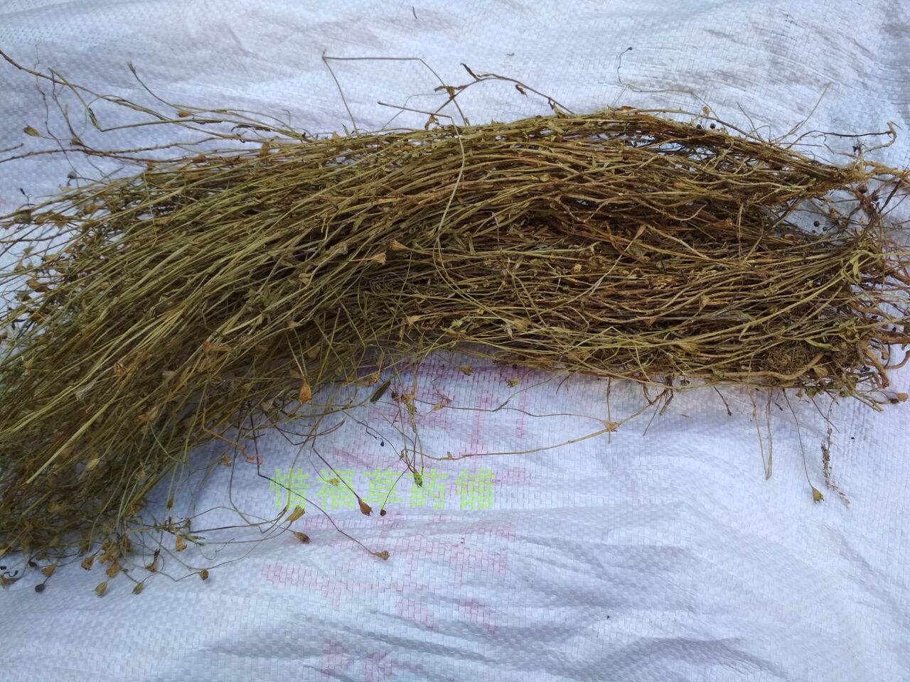 福建宁德野生蓝花参 金线吊葫芦 细叶沙参 寒草 非三叶青干品包邮