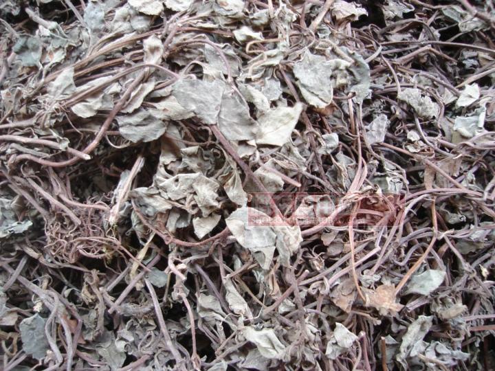包邮野生金钱草 落地金钱 铜钱草 化石茶 结石排出石 干品500g