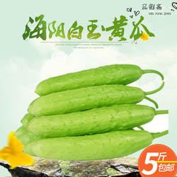 海阳白玉黄瓜脆嫩农家带刺白皮黄瓜新鲜青瓜现摘现发四季水果包邮